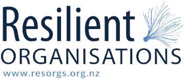 Resilient Organisations
